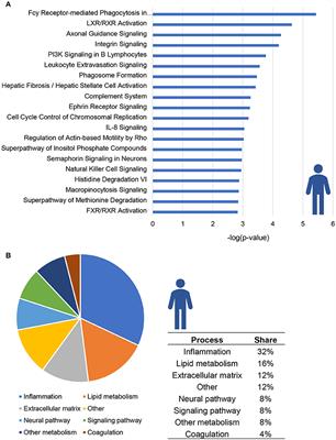 Key Inflammatory Processes in Human NASH Are Reflected in Ldlr−/−.Leiden Mice: A Translational Gene Profiling Study